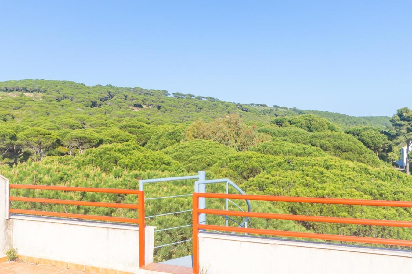 Apartamento Sereno 4 - Piscina, Garaje, Terraza Y Playa Los Canos De Meca Zewnętrze zdjęcie
